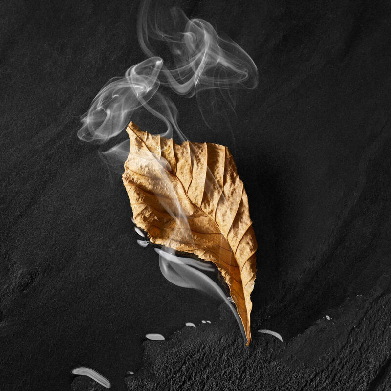 A dried, crumpled leaf with smoke curling around it, set against a dark, textured background.