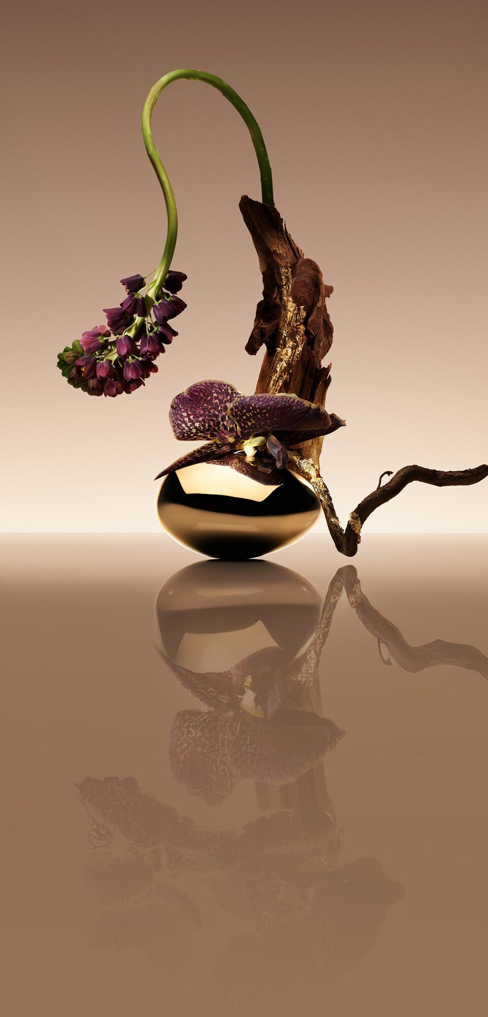 Ikebana with Oud, Saffron and Jasmine flower accompanied by text explaining the "Olfaction Story" of OUD NACRE.