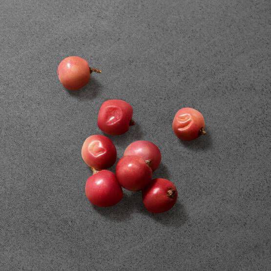 A small cluster of red berries arranged on a dark gray surface.