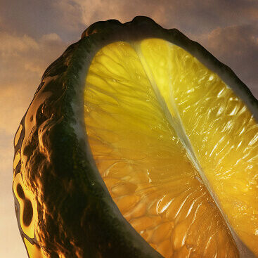 Calabrian bergamot for Giorgio Armani I WILL Eau de Parfum. A bright citrus ingredient.