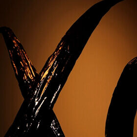 Giorgio Armani I WILL Eau de Parfum video featuring woody leather notes. A sensual men’s fragrance.
