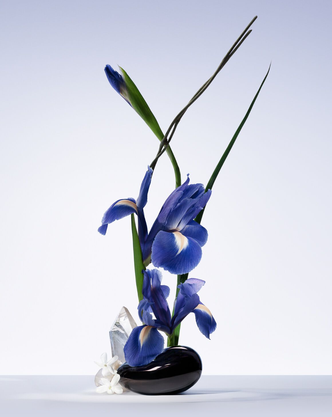 Ikebana showcasing iris flowers and white musk in a dark vase.