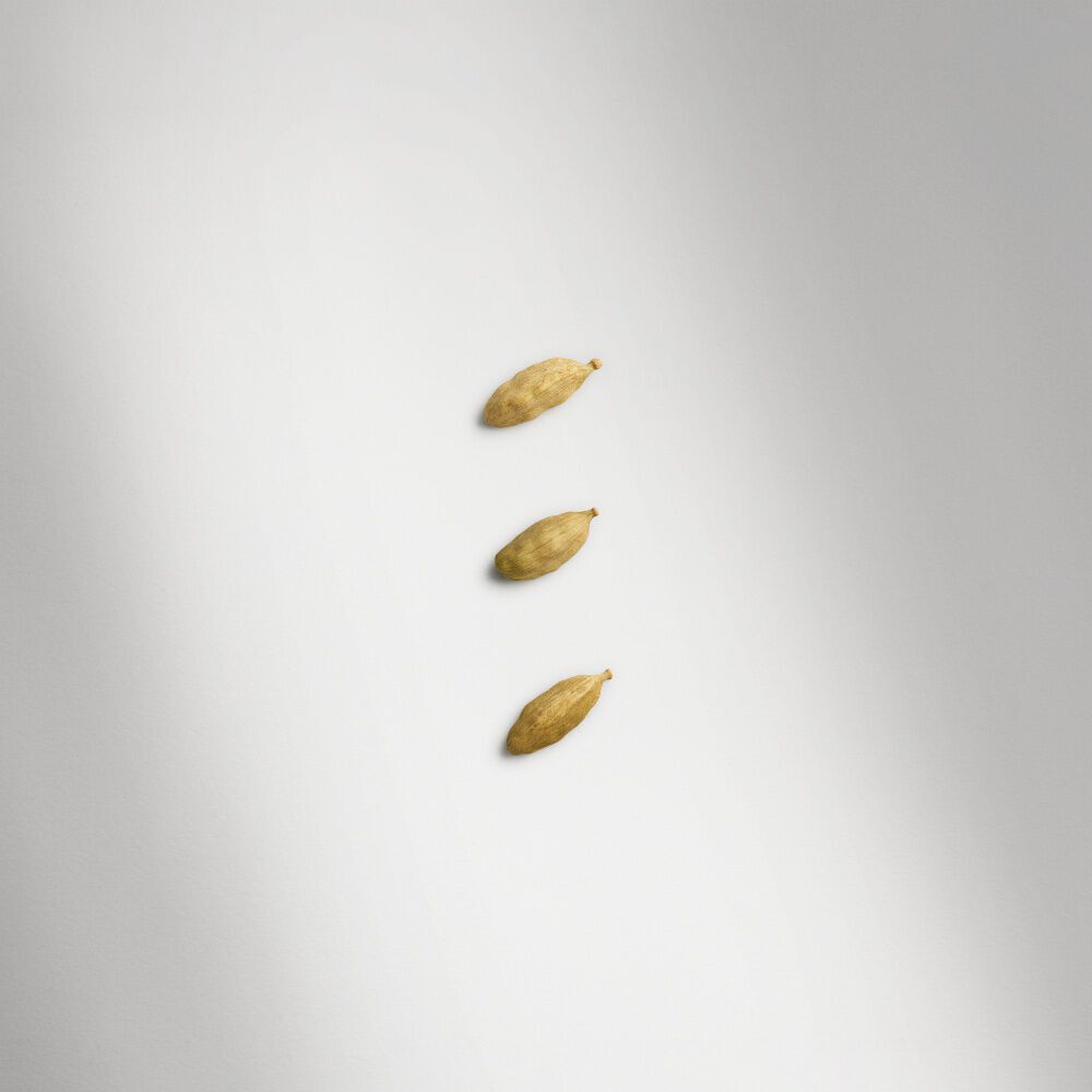 A bundle of dried vetiver roots or grass, representing an accord used in Emporio Armani fragrance, is elegantly displayed on a white background.