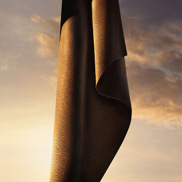Woodleather note for Giorgio Armani I WILL Eau de Parfum. A dark and textured ingredient.