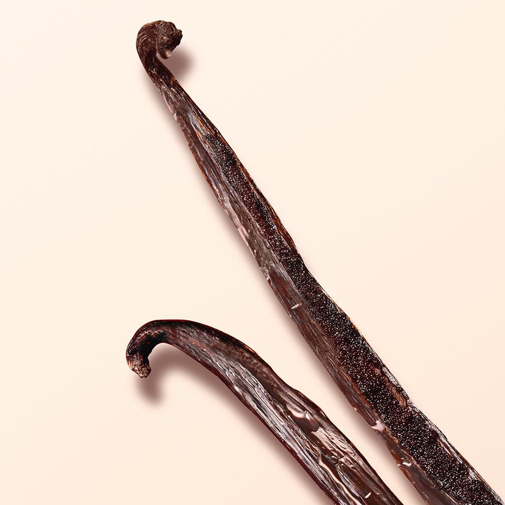 Vanilla pods on a nude background.