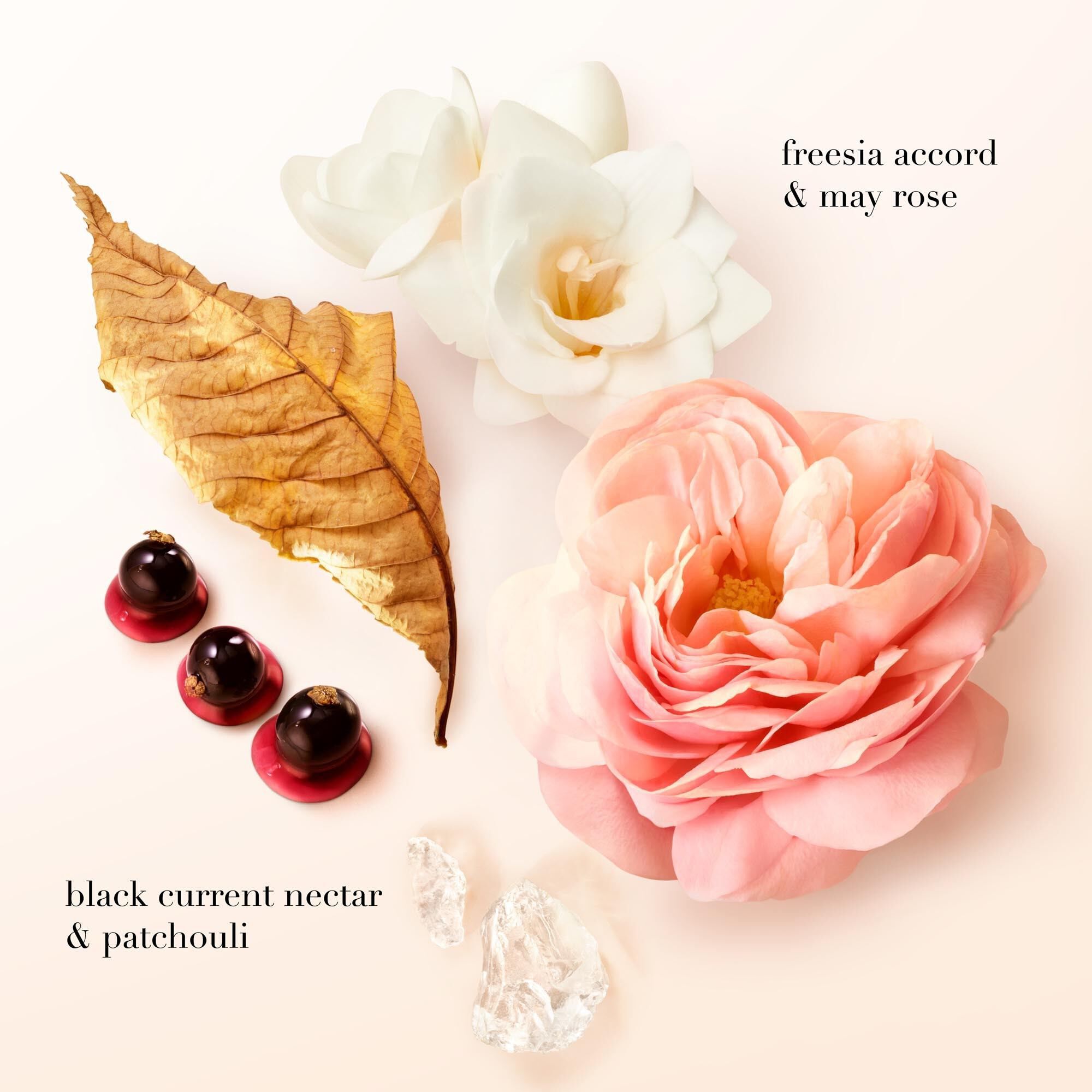 SI EAU DE PARFUM 50ML MOTHER'S DAY GIFT SET