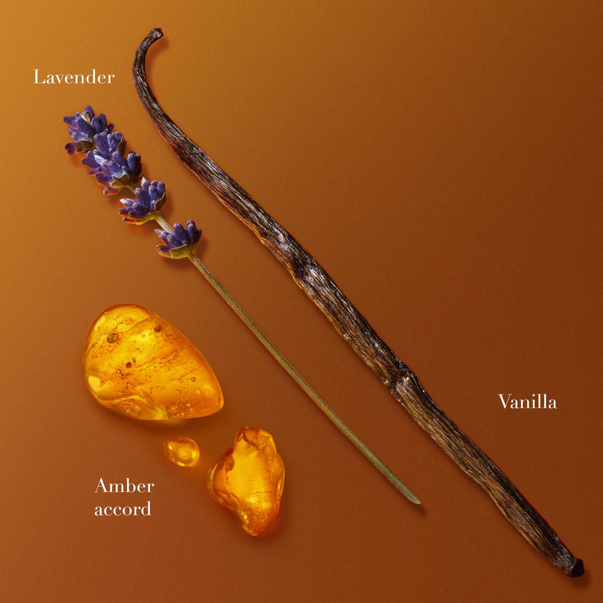Vanilla beans, lavender and amber resin pieces arranged on warm orange background showcasing fragrance ingredients