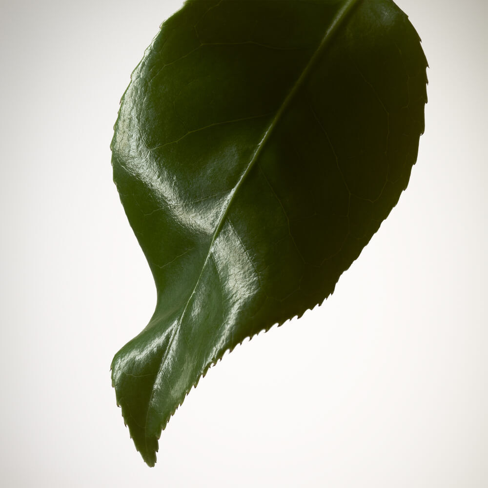 Armani/Prive THE YULONG