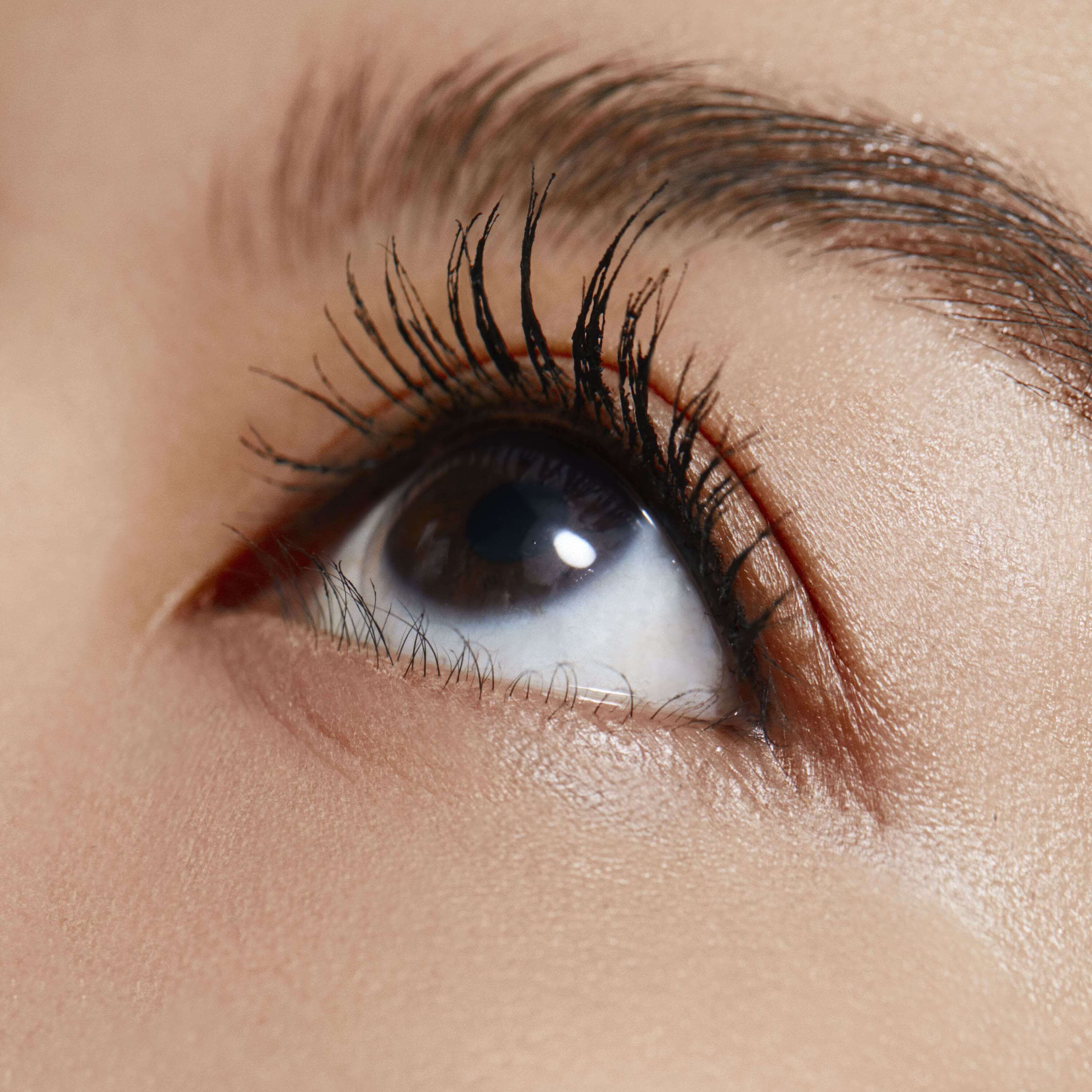 emporio armani mascara