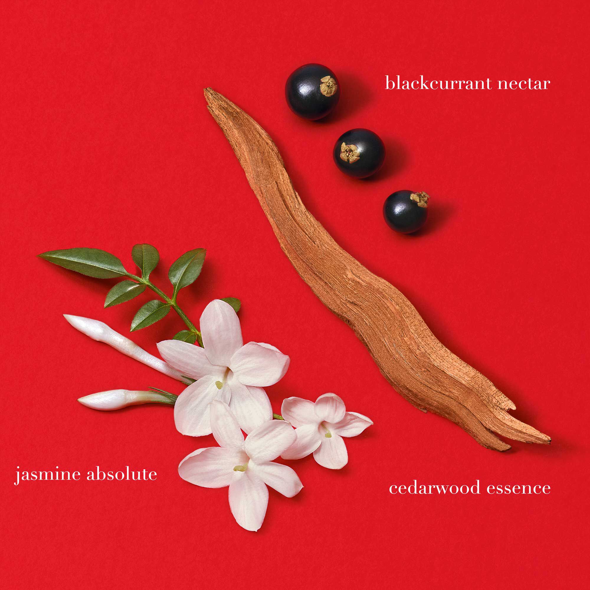 SI PASSIONE EAU DE PARFUM - REFILLABLE