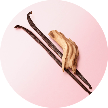 Two dark vanilla pods and a piece of light-colored wood are arranged against a soft pink background.