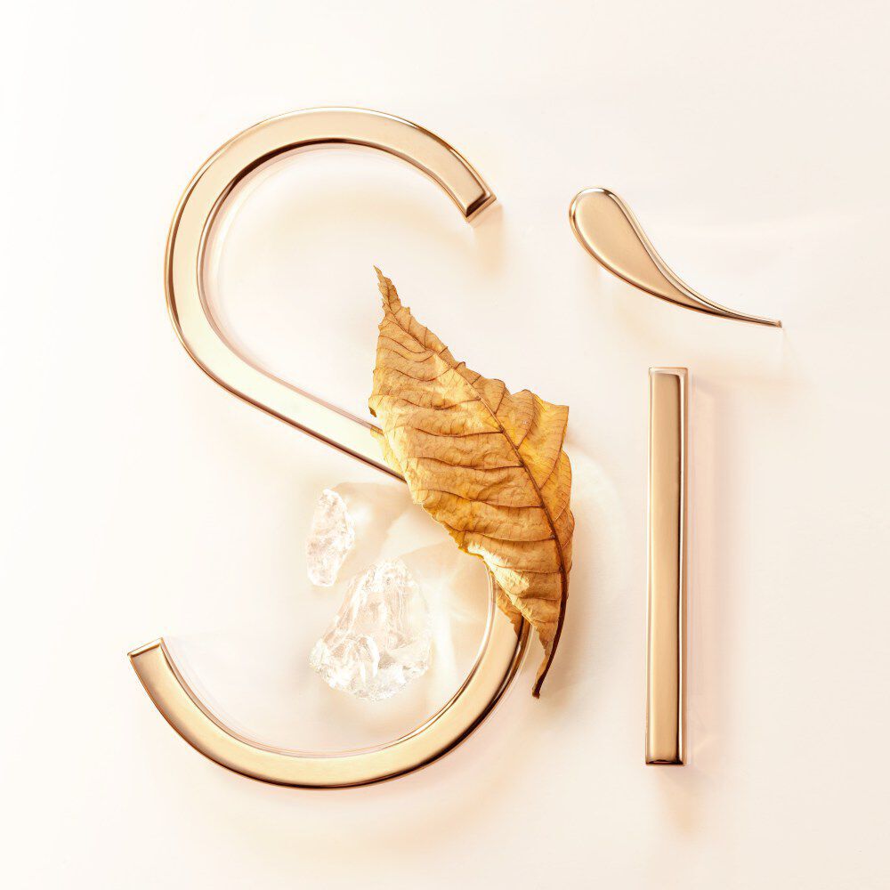 A gold 'Sì' logo with a dried leaf and crystal pieces placed artistically on a light background.
